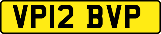 VP12BVP