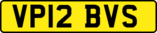 VP12BVS