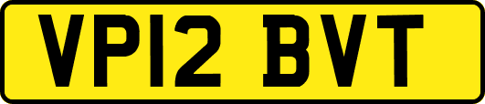 VP12BVT