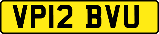 VP12BVU