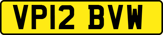 VP12BVW