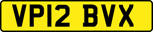 VP12BVX