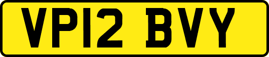VP12BVY