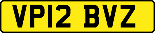 VP12BVZ