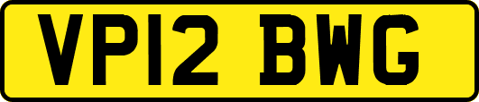 VP12BWG