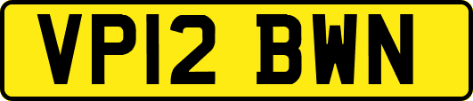 VP12BWN