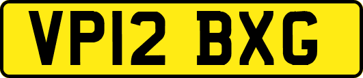 VP12BXG