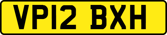 VP12BXH
