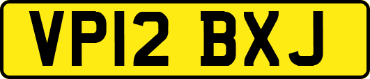 VP12BXJ
