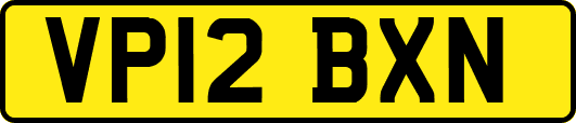 VP12BXN