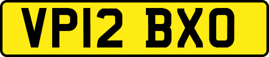 VP12BXO