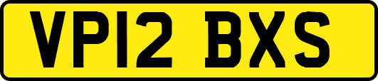 VP12BXS