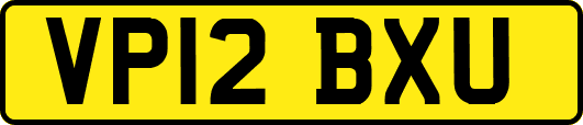 VP12BXU
