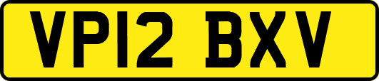 VP12BXV