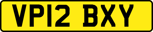 VP12BXY