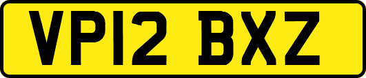 VP12BXZ
