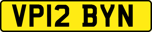 VP12BYN