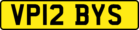 VP12BYS