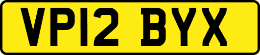 VP12BYX