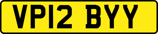 VP12BYY