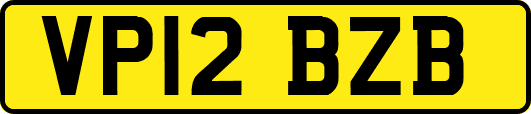 VP12BZB