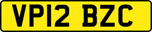 VP12BZC