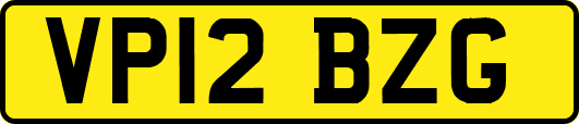 VP12BZG