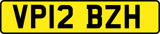 VP12BZH