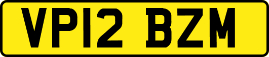VP12BZM