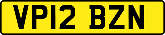 VP12BZN