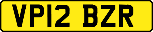 VP12BZR
