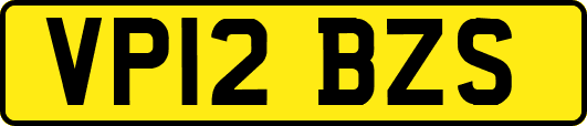 VP12BZS