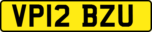 VP12BZU