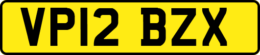 VP12BZX