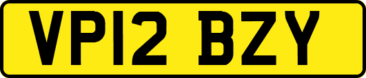 VP12BZY