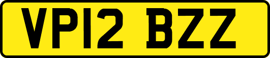 VP12BZZ