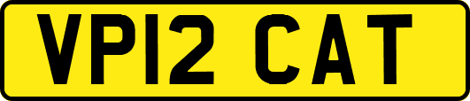 VP12CAT