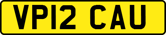 VP12CAU