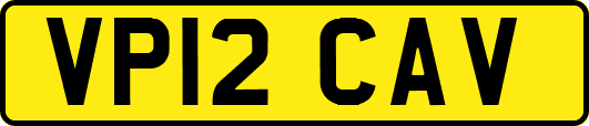 VP12CAV