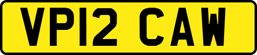 VP12CAW