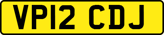 VP12CDJ