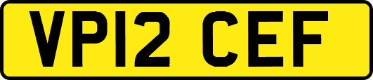 VP12CEF