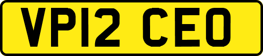 VP12CEO