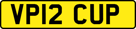 VP12CUP