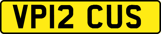VP12CUS