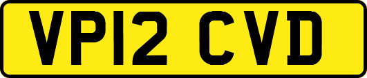 VP12CVD