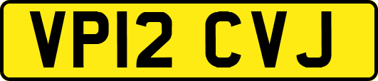 VP12CVJ