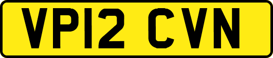 VP12CVN
