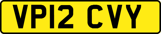 VP12CVY