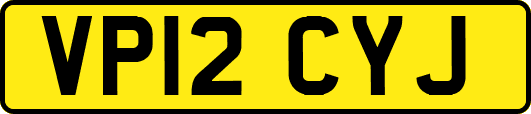 VP12CYJ